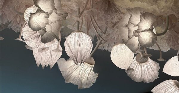 Smoky Immersive Fragrance Installations