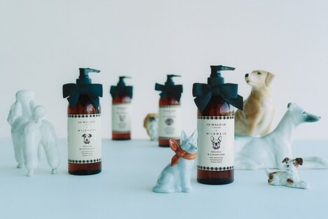 Luxury Fragranced Dog Care