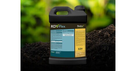 Foliar Nitrogen Treatments