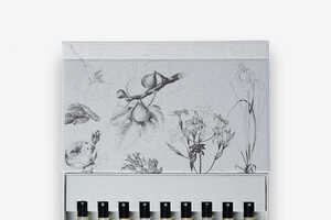 Layerable Fragrance Discovery Sets Article Thubnail