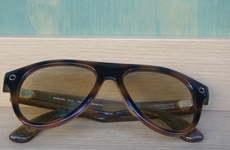 Fashion-Forward AI Glasses