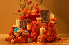 Culturally Co-Created Beauty