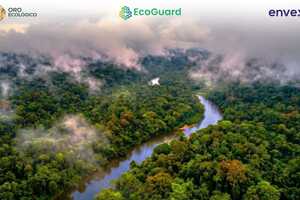 Digitized Carbon Market Ecosystems Article Thubnail