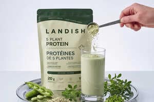 Five-Plant Protein Powders Article Thubnail
