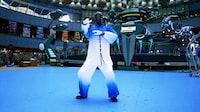 Public Robotic Attractions