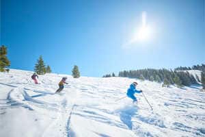 Curated Ski Lessons Article Thubnail