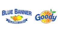 Direct-to-Retailer Citrus Distribution Image 1