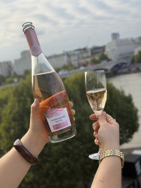 Grocery Store Sparkling Wines