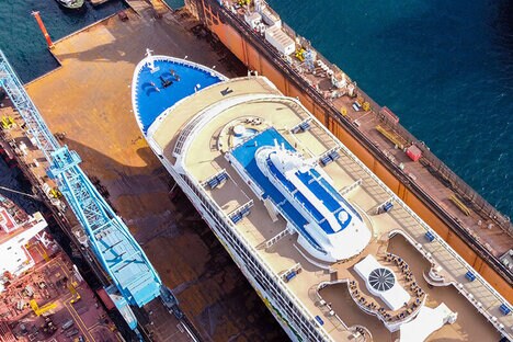 India-Bound Cruise Ships