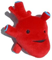 Organs as Gifts Image 5