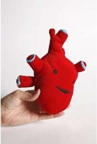 Organs as Gifts Image 8