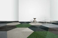 Botanical-Inspired Carpets Image 3