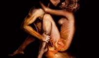 Anatomical X-Ray Art Image 4