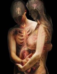 Anatomical X-Ray Art Image 7