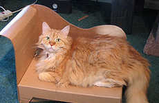 Recycled Feline Loungers