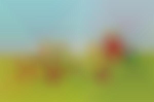 Literal Cartoon Renderings