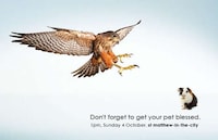 Scandalous Church Billboards Image 5