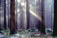 Crepuscular Ray Photography Image 4
