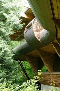 Forest Canopy Lofts Image 7