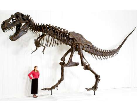 55 Prehistoric Finds