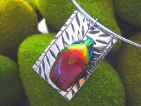 Jewelry Bugs Image 5