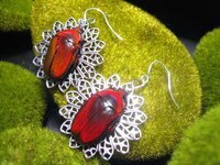 Jewelry Bugs Image 8