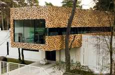 Angular Birdnest Abodes