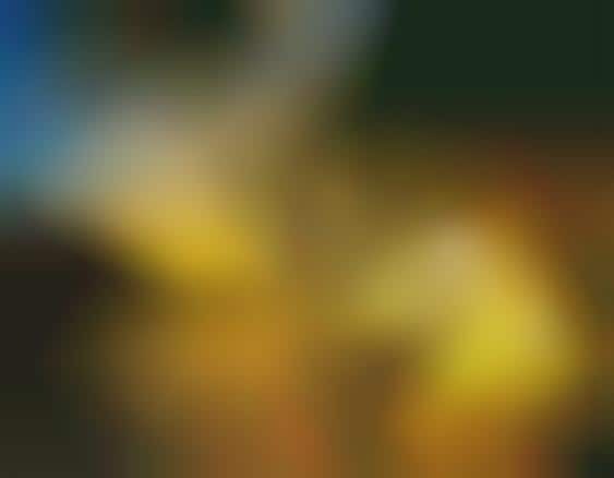 Whirling Wavetography