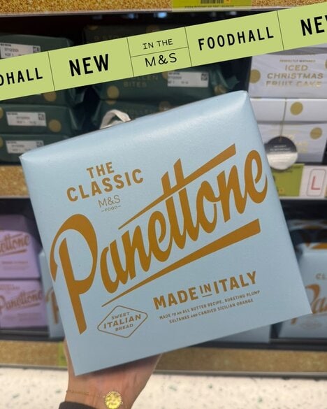 Holiday Panettone Loaves