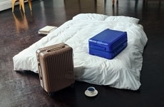 Art-Inspired Travel Cases