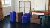Art-Inspired Travel Cases Image 2