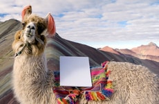 Budget Portable Satellite Dishes