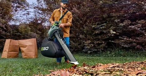 Three-in-One Battery Leaf Vacuums