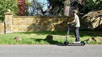 Entry-Level Commuter Scooters Image 2