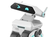 Kid-Friendly Home Robots
