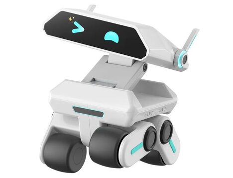 Kid-Friendly Home Robots