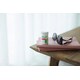Women's Health-Focused Probiotic Supplements Image 1