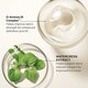 High-End Firming Serums Image 3