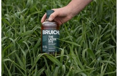 Regeneratively Grown Rye Whiskies