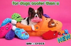 Customizable Pet Furniture