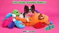 Customizable Pet Furniture
