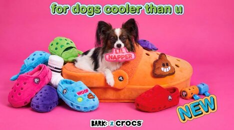 Customizable Pet Furniture