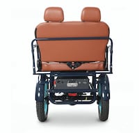 Multi-Passenger Electric Trikes Image 3