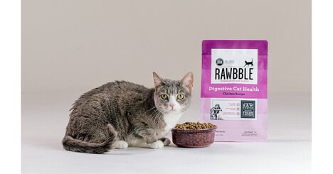 Clean Label Cat Foods