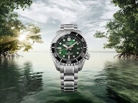 Mangrove Diver Watches Image 4