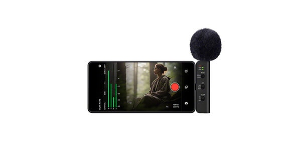 Spatial Audio Smartphone Mics