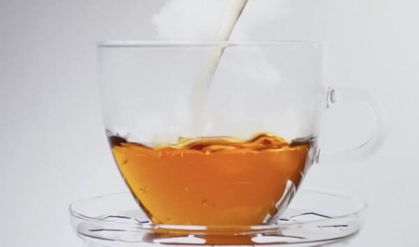 Tea-Focused AI Models