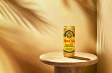 Premium Canned Sparkling Waters