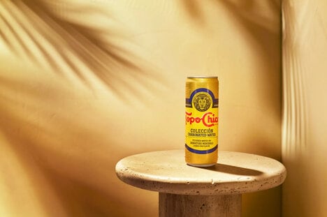 Premium Canned Sparkling Waters