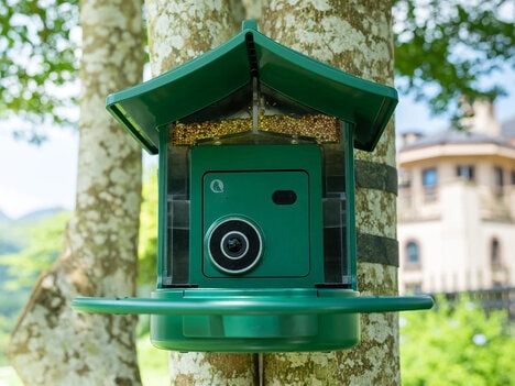 Cellular Bird Feeders